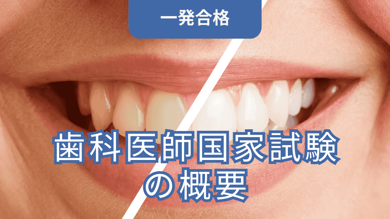 2025年最新】歯科医師国家試験の概要｜日程・出題基準・自己採点方法 