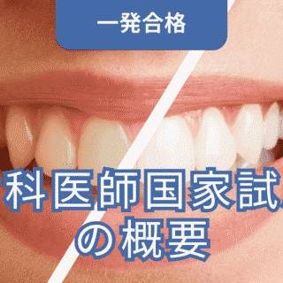 2025年最新】歯科医師国家試験の概要｜日程・出題基準・自己採点方法